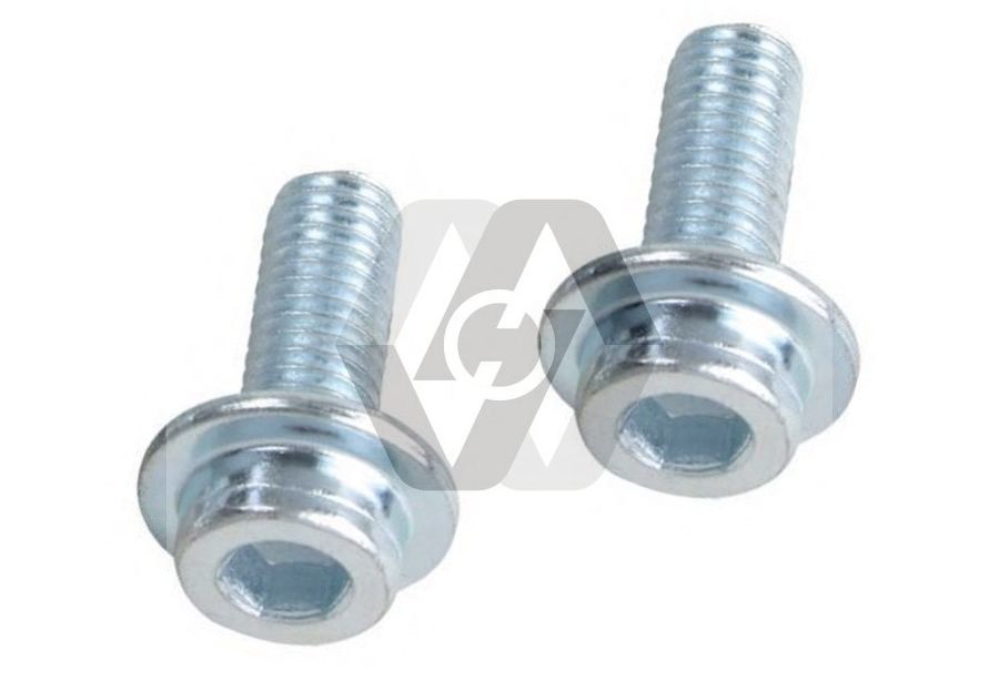 Hexagonal Flange Bolt