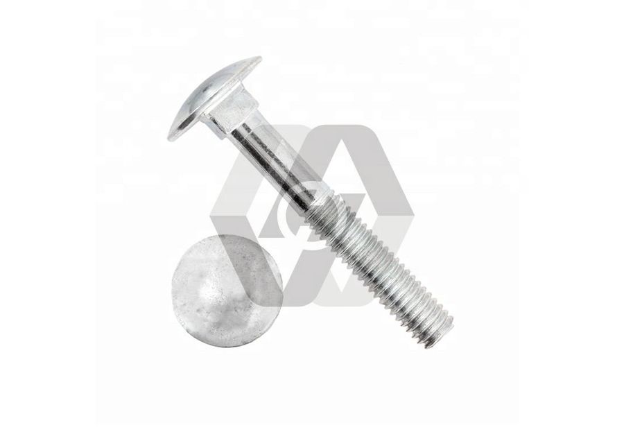 Large half round head carriage bolt