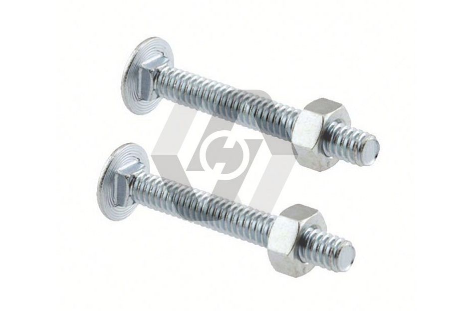 Large half round head carriage bolt