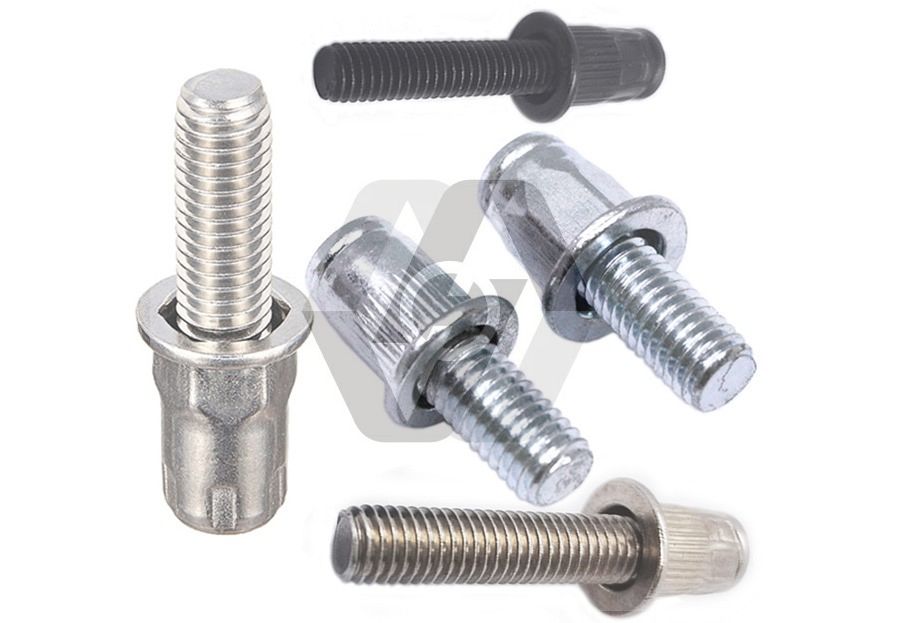 Bolt rivet nut