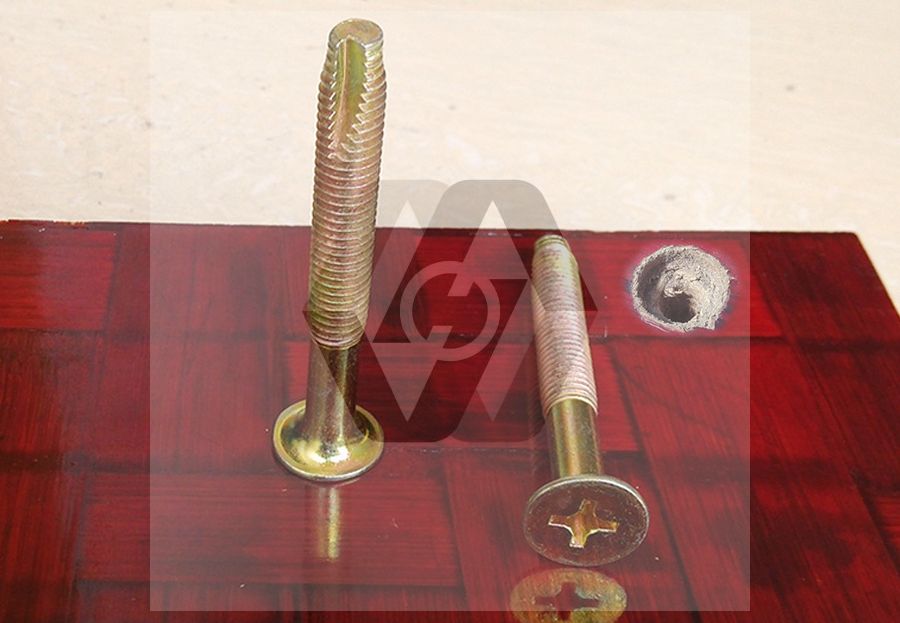 Cutting Tail Thread Rolling self Tapping Screws for Container