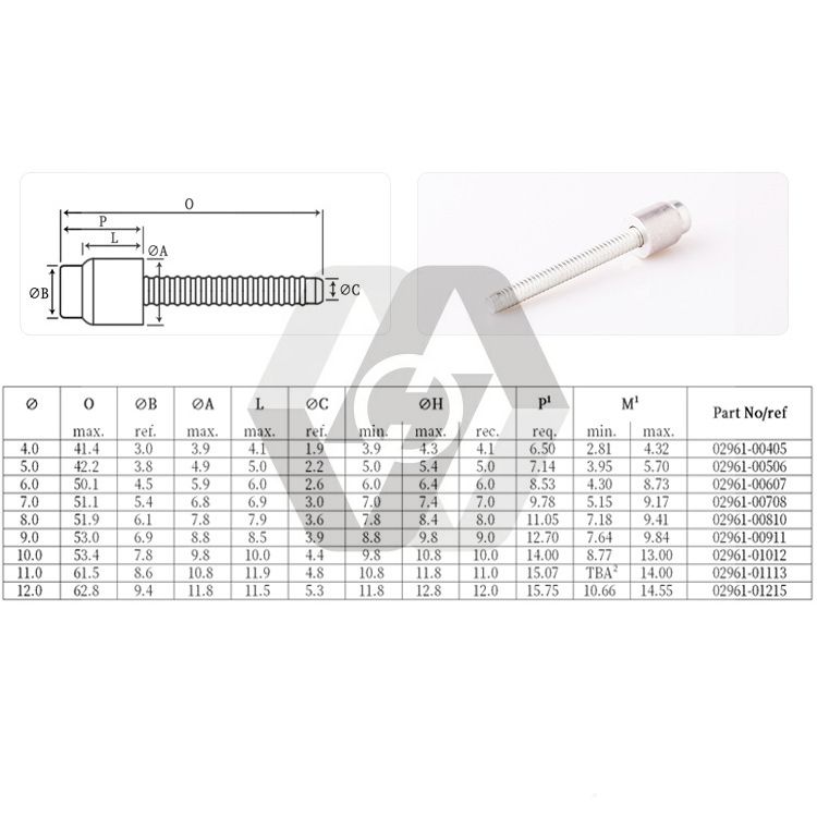 Blind Sealing plug rivets